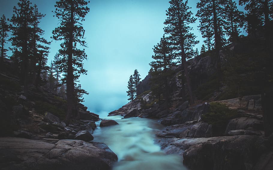 waterfalls between rocks, tree, fir, abies, conifer, flora, plant HD wallpaper