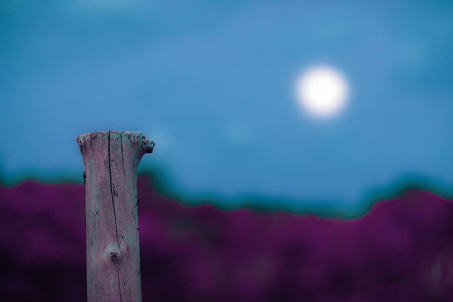 Brown Wooden Post, abstract, art, blur, bright, color, defocused HD wallpaper