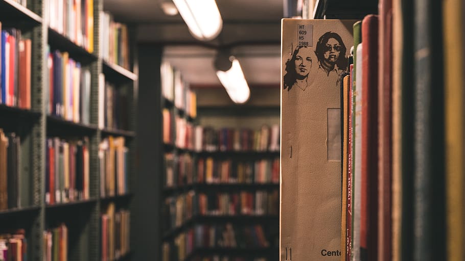 book, library, school, college, university, city, autumn, study HD wallpaper