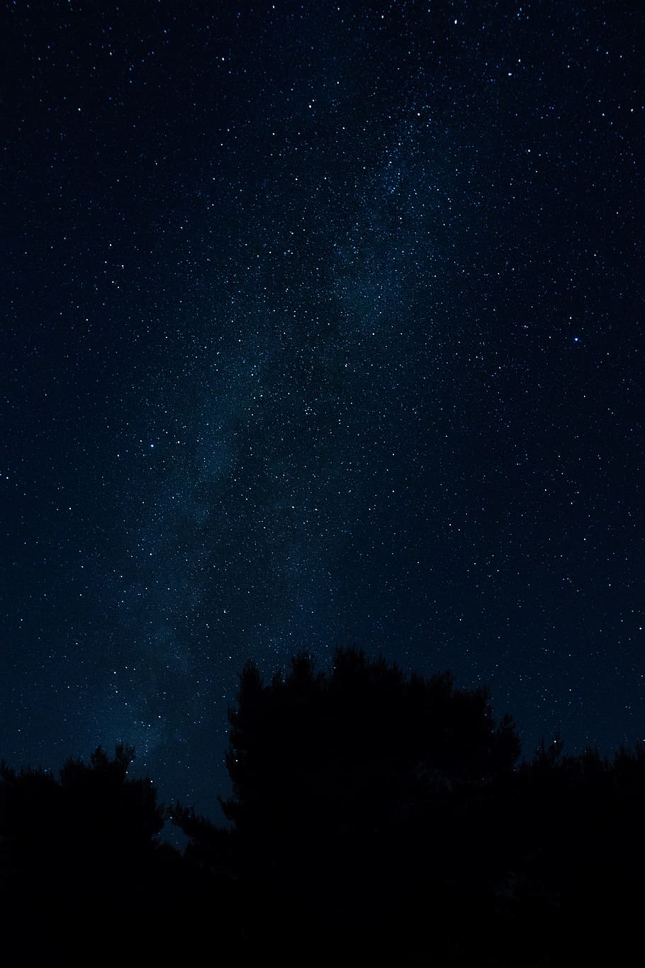 stars at the sky during night time, milkyway, tree, dark, astrophotography HD wallpaper