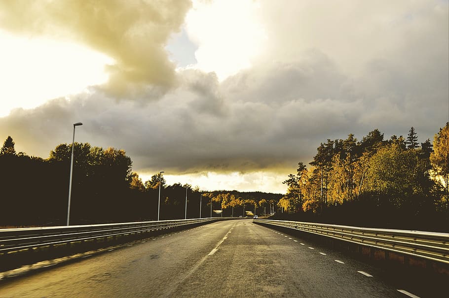 sweden, sunset, sunlight, forest, road, trees, street light HD wallpaper