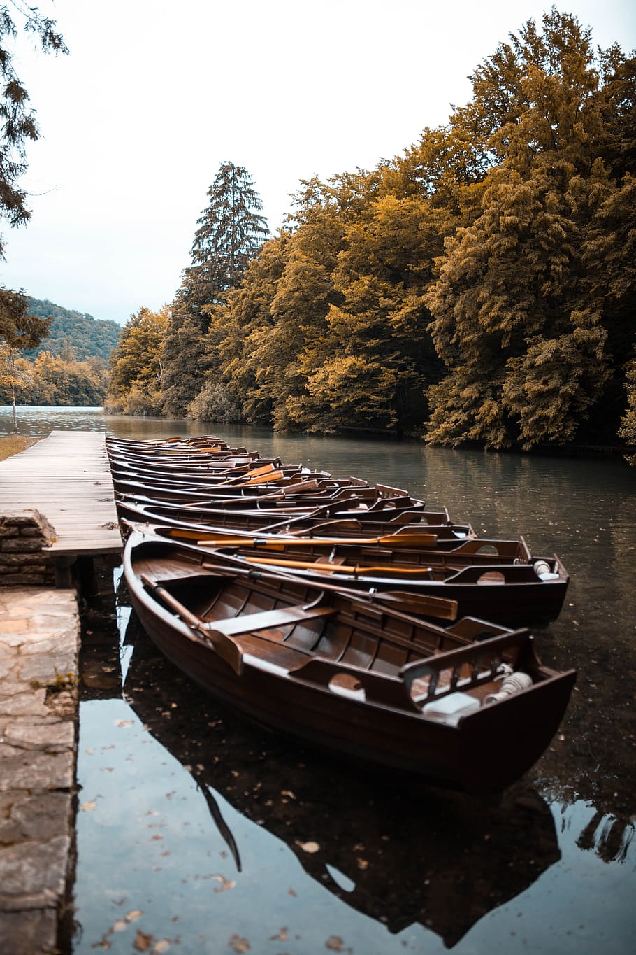 brown boats near brown dock, tree, water, still, fall, autumn HD wallpaper