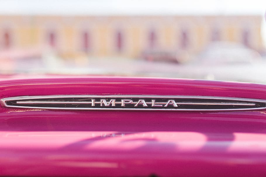 Chevrolet Impala, selective focus, close-up, text, no people HD wallpaper