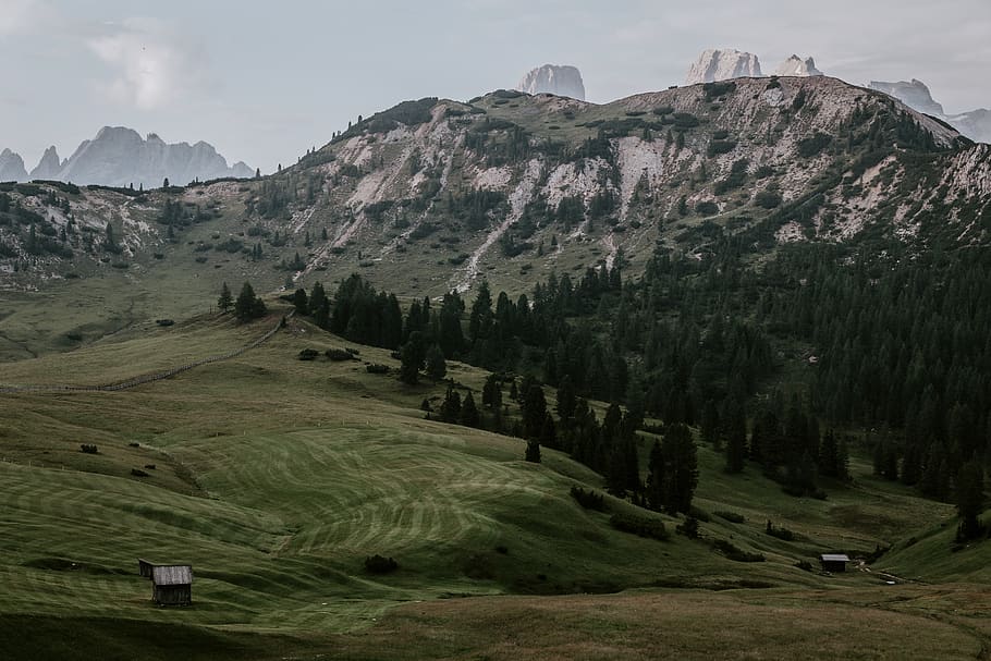 trees beside mountain, outdoors, crest, nature, mountain range HD wallpaper