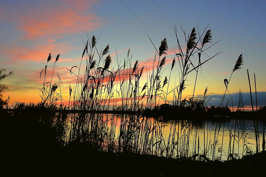 measles, river, landscape, sunset, the stage, sky, water, reflection HD wallpaper