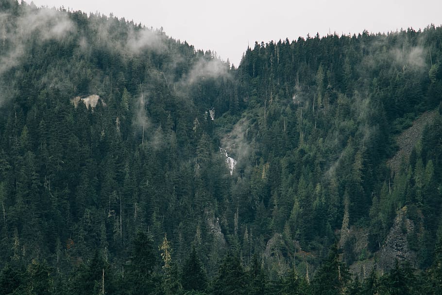 wild, wilderness, fall, winter, fog, waterfall, canada, adventure HD wallpaper