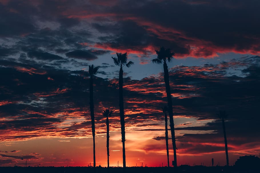 clouds, palms, cloudscape, sunset, tropical, cloud - sky, orange color HD wallpaper