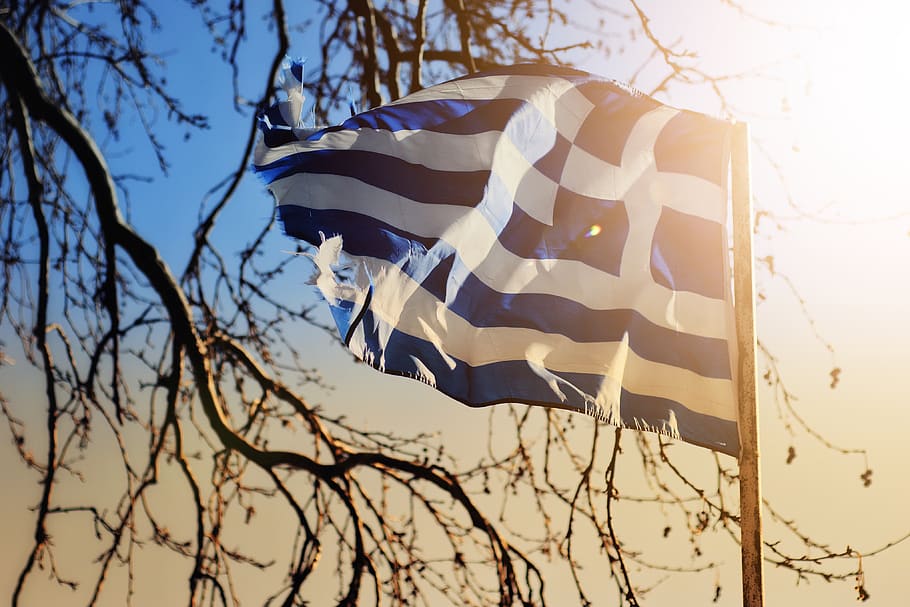blue and white striped flag, tree, sky, plant, nature, low angle view HD wallpaper