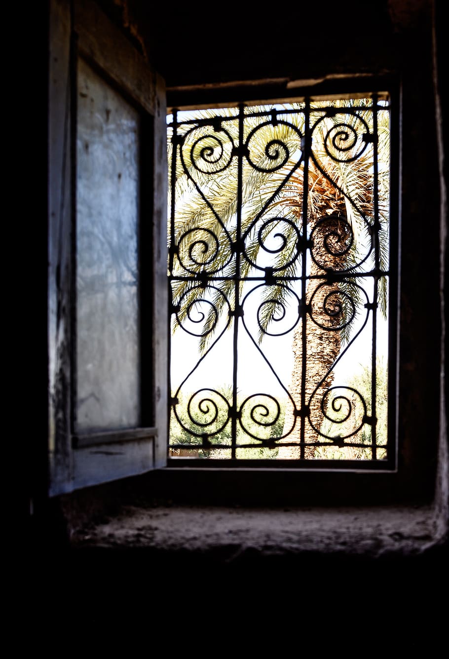 palm, window, morocco, kasbah, tourism, architecture, oriental HD wallpaper