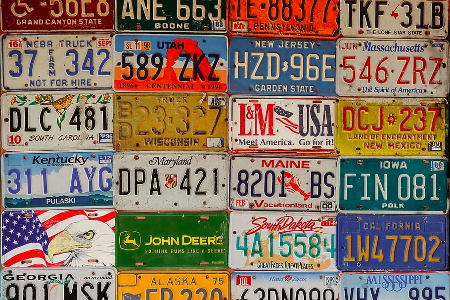 assorted-color license plate lot, transportation, vehicle, bird, HD wallpaper