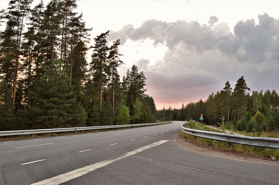 road, vaggeryd, summer, evening, tree, forest, cloud, nature HD wallpaper