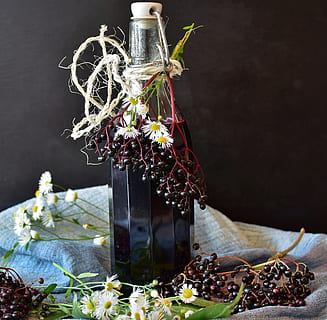 elder, elderberries, juice, fruits, black elderberry, sambucus nigra HD wallpaper