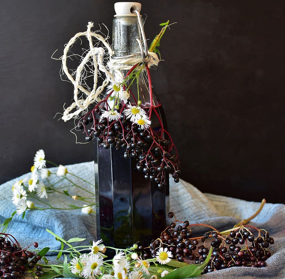 elder, elderberries, juice, fruits, black elderberry, sambucus nigra HD wallpaper
