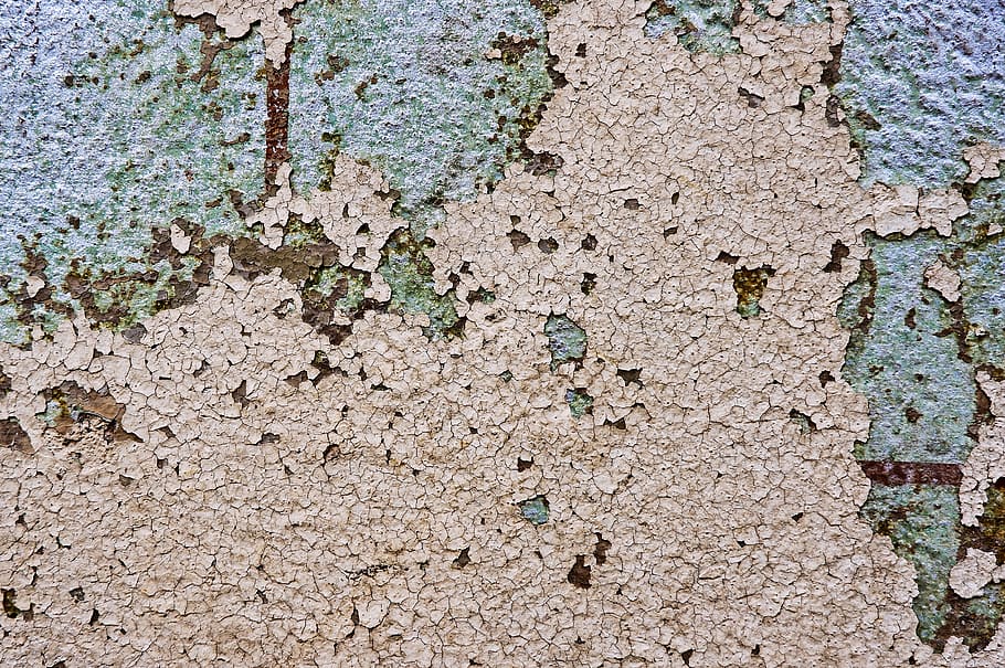 ground, soil, texture, concrete, rug, road, plant, rock, tar HD wallpaper