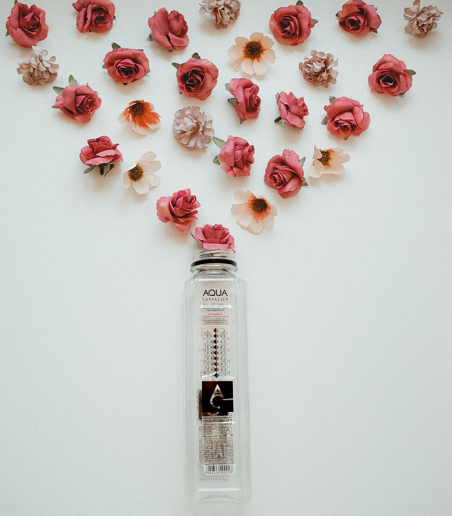 Aqua Fragrance Bottle and Roses Wall Decor, bright, close-up HD wallpaper