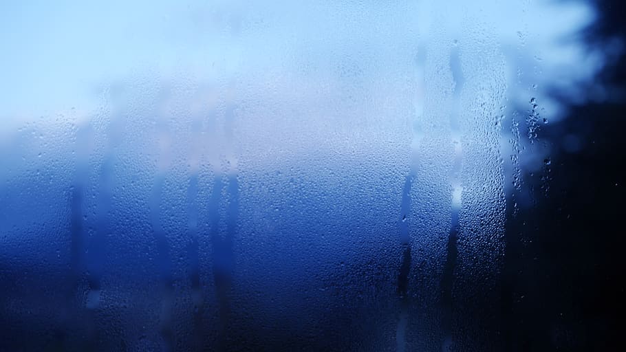mist, window, rain, winter, automn, wallpaper, hdwallpaper HD wallpaper