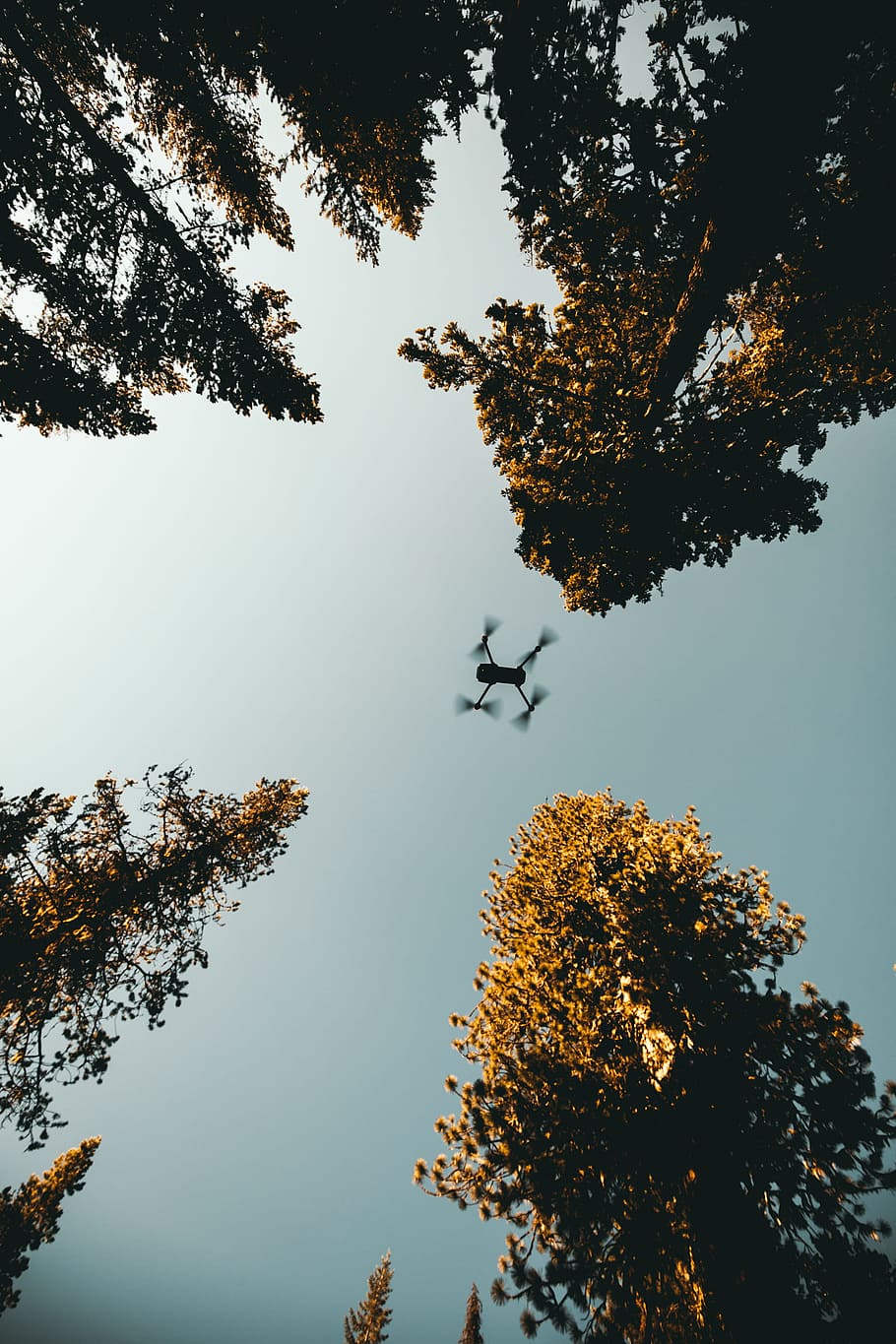 low angle photo of drone near trees, poster, wide angle, camera, HD wallpaper