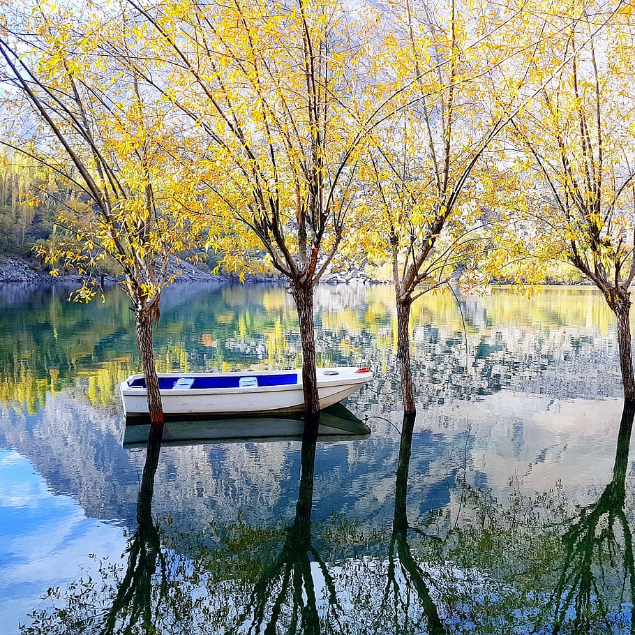 Photography of White and Blue Wooden Boat On Water, art, environment HD wallpaper
