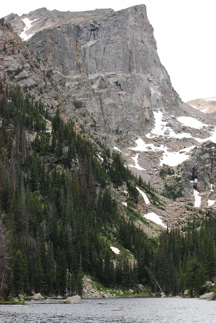 gray mountain with green trees, nature, outdoors, cliff, crest HD wallpaper