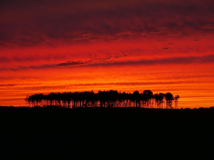sunset, evening sky, evening red, orange, orange sky, landscape HD wallpaper