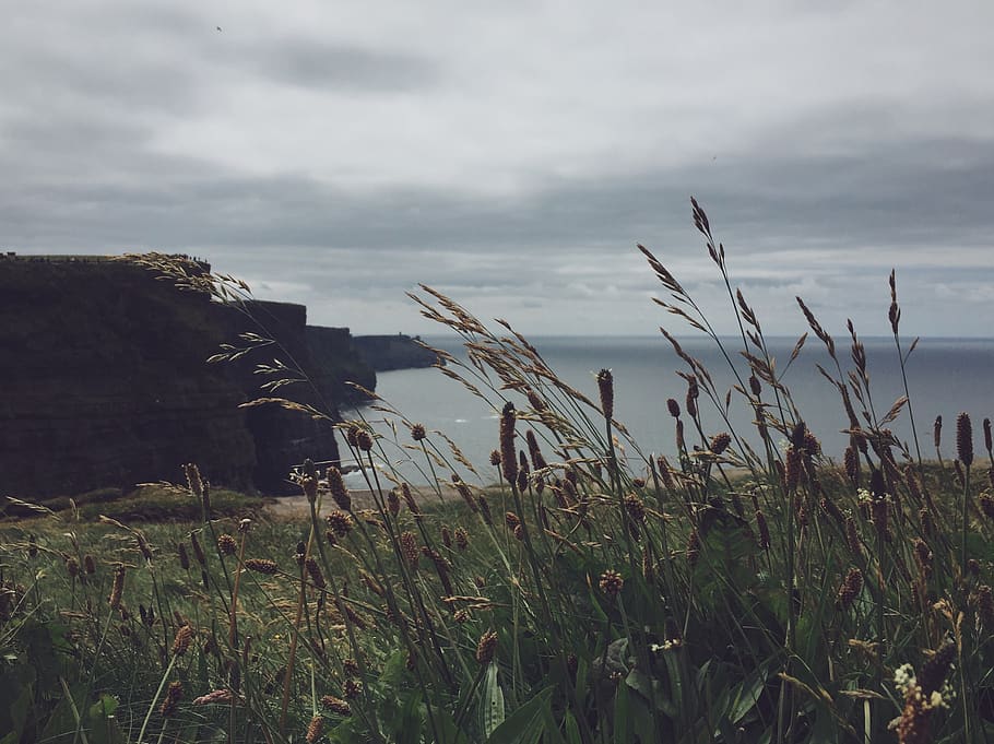 ireland, cliffs of moher, sea, claire, nature, travel, harrypotter