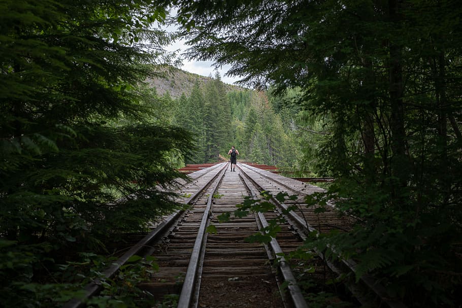 Gray Trail Rails Between Green Leaf Trees, daylight, guidance HD wallpaper