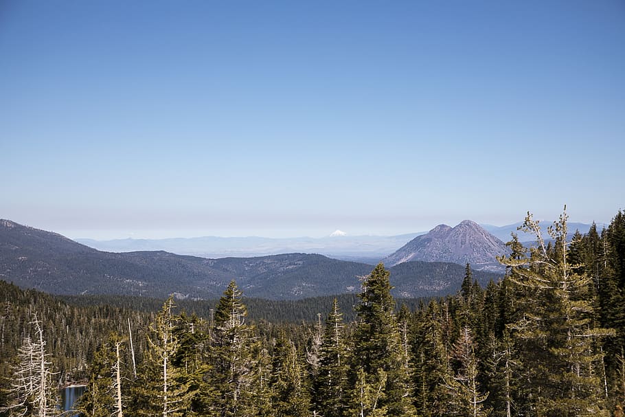 united states, castle lake, sky, horizon, trees, wildernes