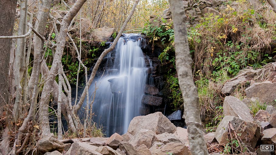 spain, montseny, trees, lakes, water, forest, plant, rock, motion HD wallpaper