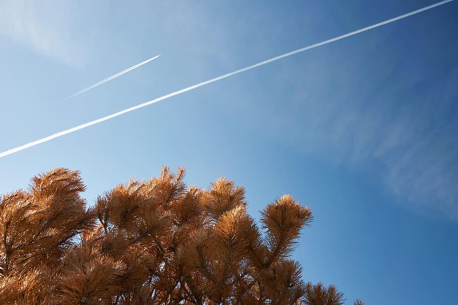 netherlands, ameland, sky, vapor trail, cloud - sky, low angle view HD wallpaper