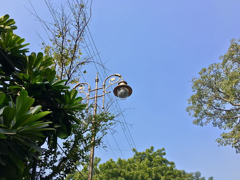 lamppost, tree, sky, low angle view, plant, clear sky, nature HD wallpaper