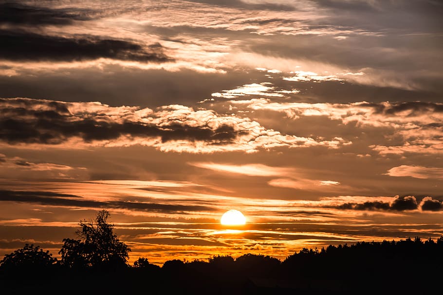 Silhouette of Trees at Golden Hour, clouds, dawn, evening, landscape HD wallpaper