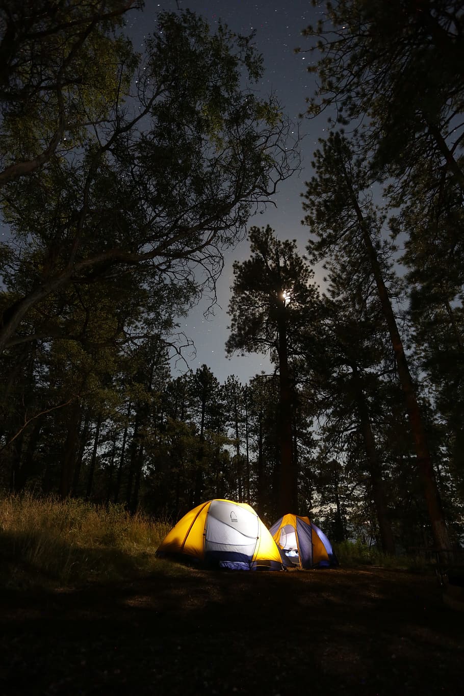 two assorted-color dome tents surrounded by trees, night, adventure