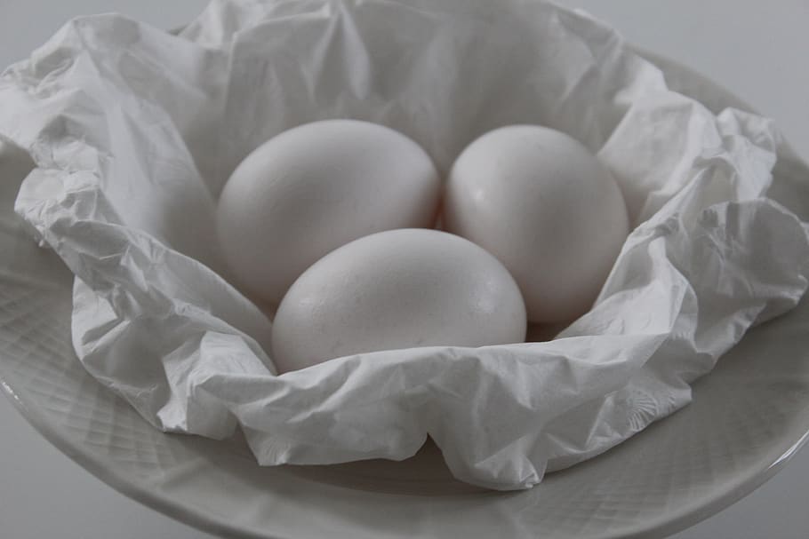 eggs, nest, white, indoors, white color, food, close-up, no people HD wallpaper