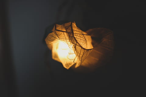 lampshade, light, orange, yellow, flower, sphere, lantern, flare HD wallpaper