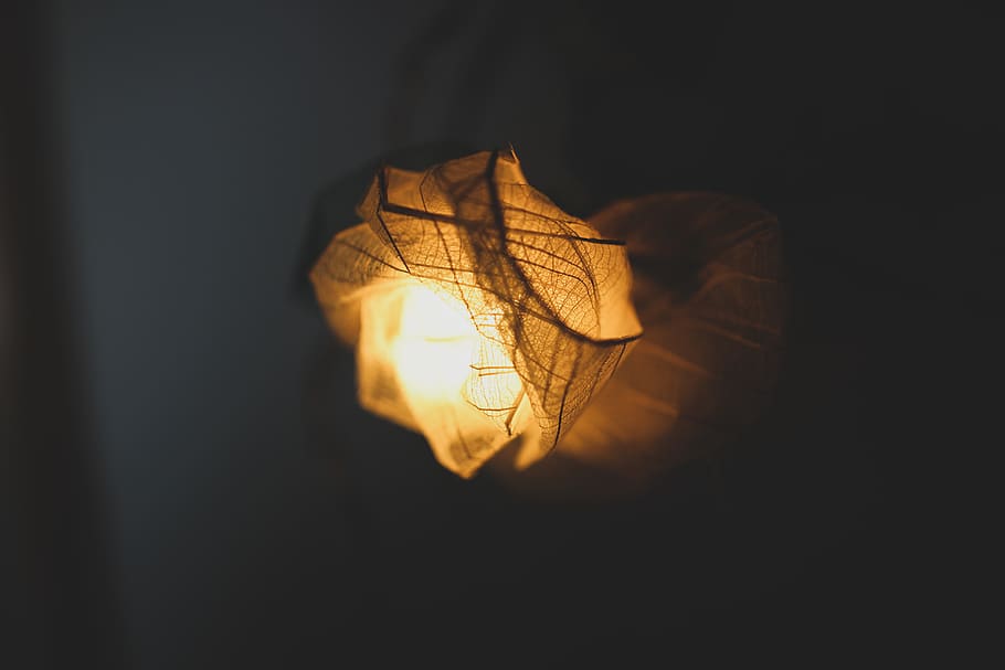 lampshade, light, orange, yellow, flower, sphere, lantern, flare HD wallpaper