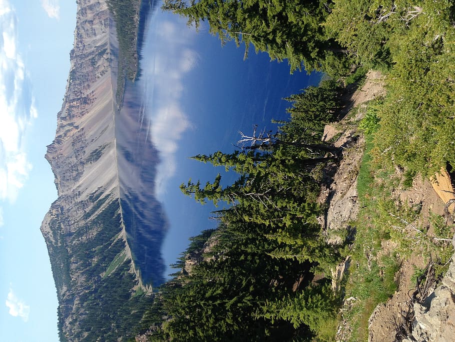 trees, plant, beauty in nature, scenics - nature, mountain HD wallpaper