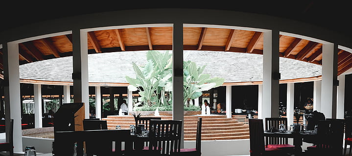 tables and chairs inside establishment, plant, vase, flora, jar HD wallpaper