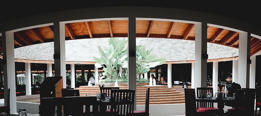 tables and chairs inside establishment, plant, vase, flora, jar HD wallpaper