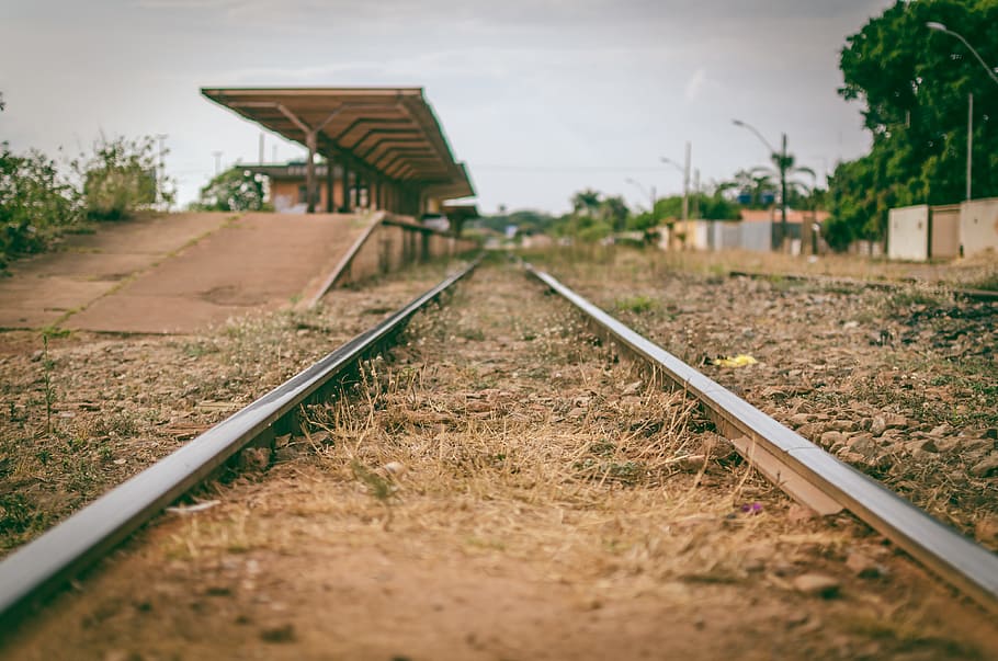 Photography of Railway, blur, close-up, daylight, focus, grass HD wallpaper