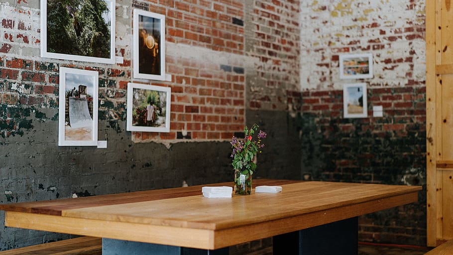 red petaled flower on desk near brown wall, coffeeshop, cafe HD wallpaper
