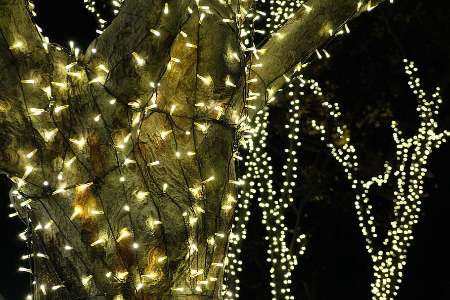 illumination, beautiful, tree, gold, street, tokyo, decoration HD wallpaper