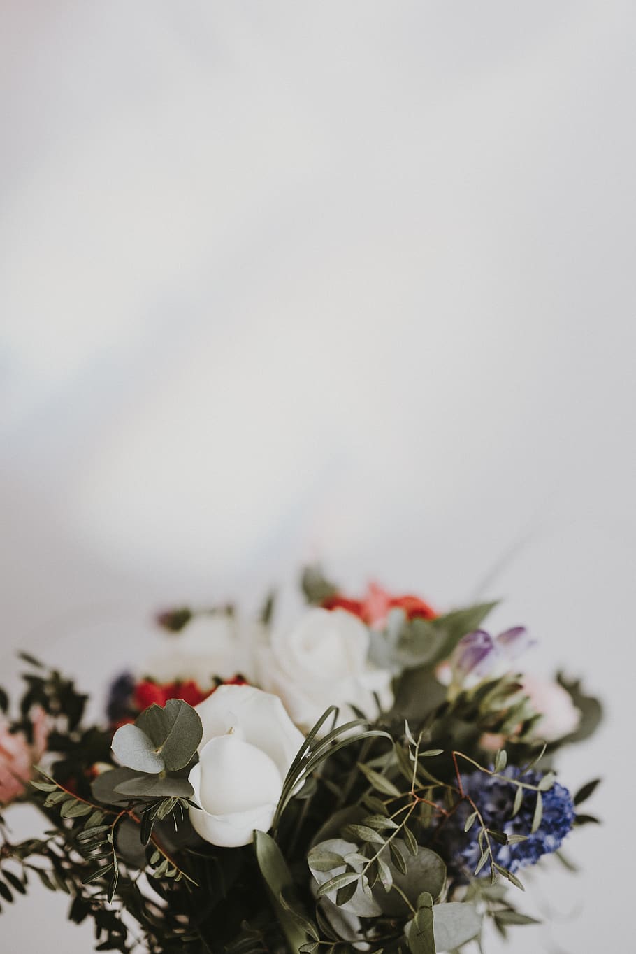 white roses, plant, flower, blossom, flower arrangement, flower bouquet HD wallpaper