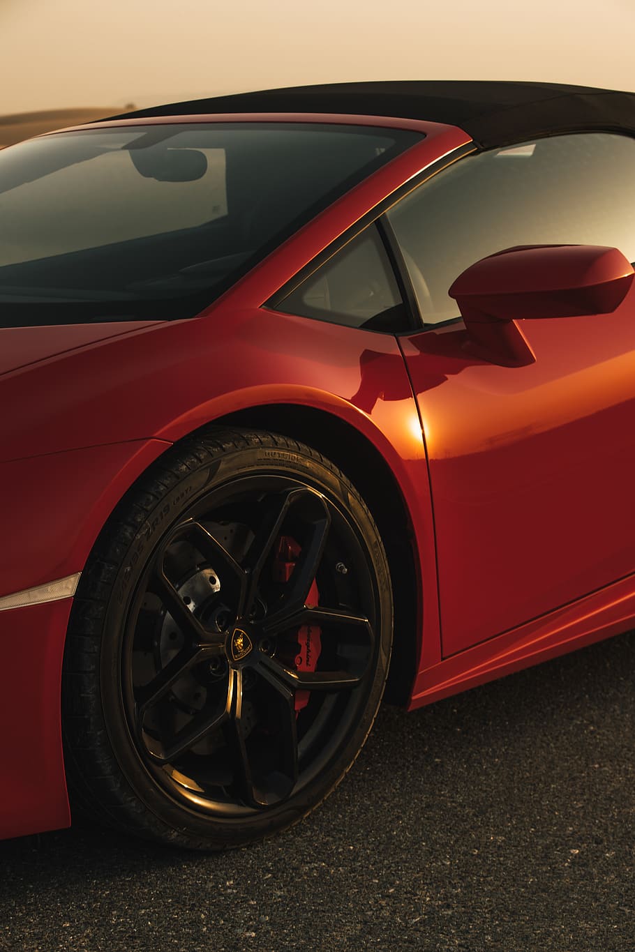 red cat, furniture, chair, dubai, united arab emirates, automobile HD wallpaper