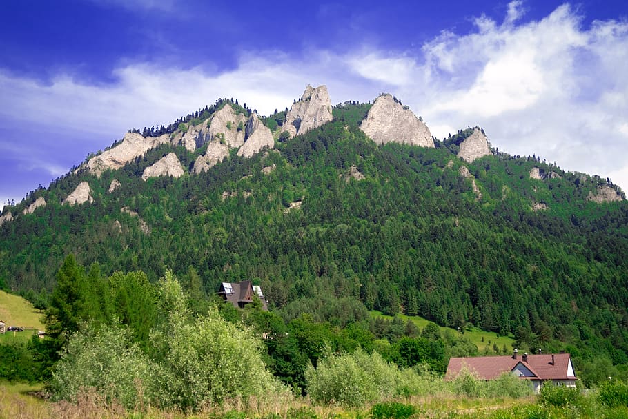 mountains, nature, landscape, view, trail, top, poland, tourism HD wallpaper