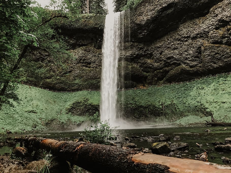 waterfalls surrounded by tree during daytime, united states, silver falls HD wallpaper