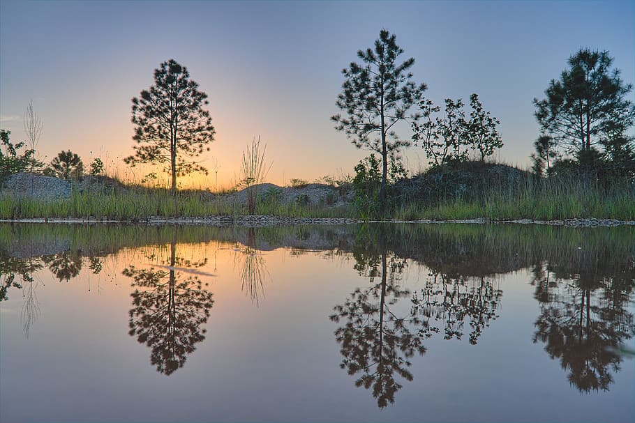 trees, water, reflection, nature, landscape, lake, sky, waters HD wallpaper