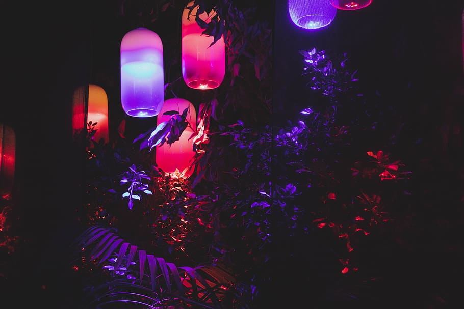 illuminated, night, tree, celebration, decoration, holiday HD wallpaper