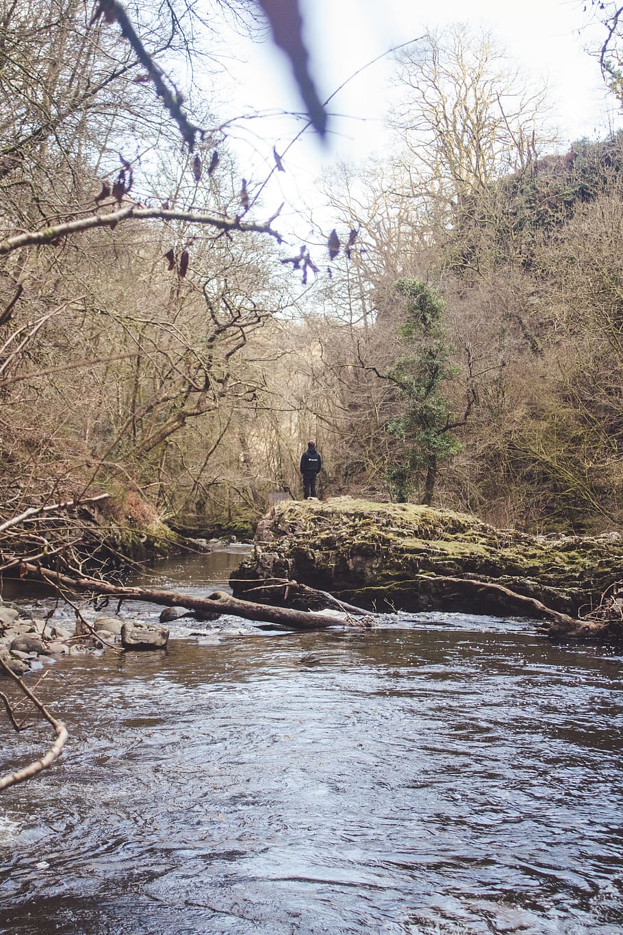 river, trees, rock, moss, winter, waterfall, walk, season, aesthetic HD wallpaper
