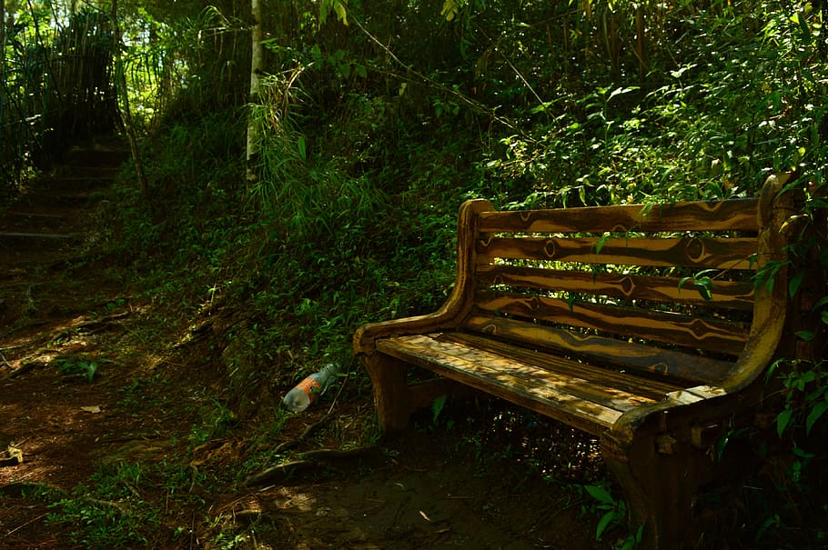 bench, trees, trail, forest, leaves, grass, relaxation, nature HD wallpaper