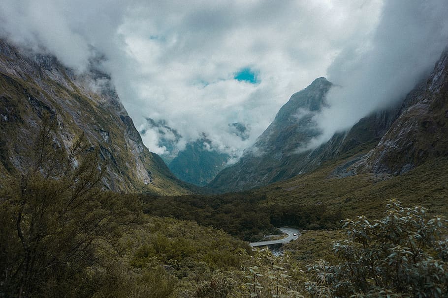 HD wallpaper: new zealand, fiordland national park, green, fjordland ...